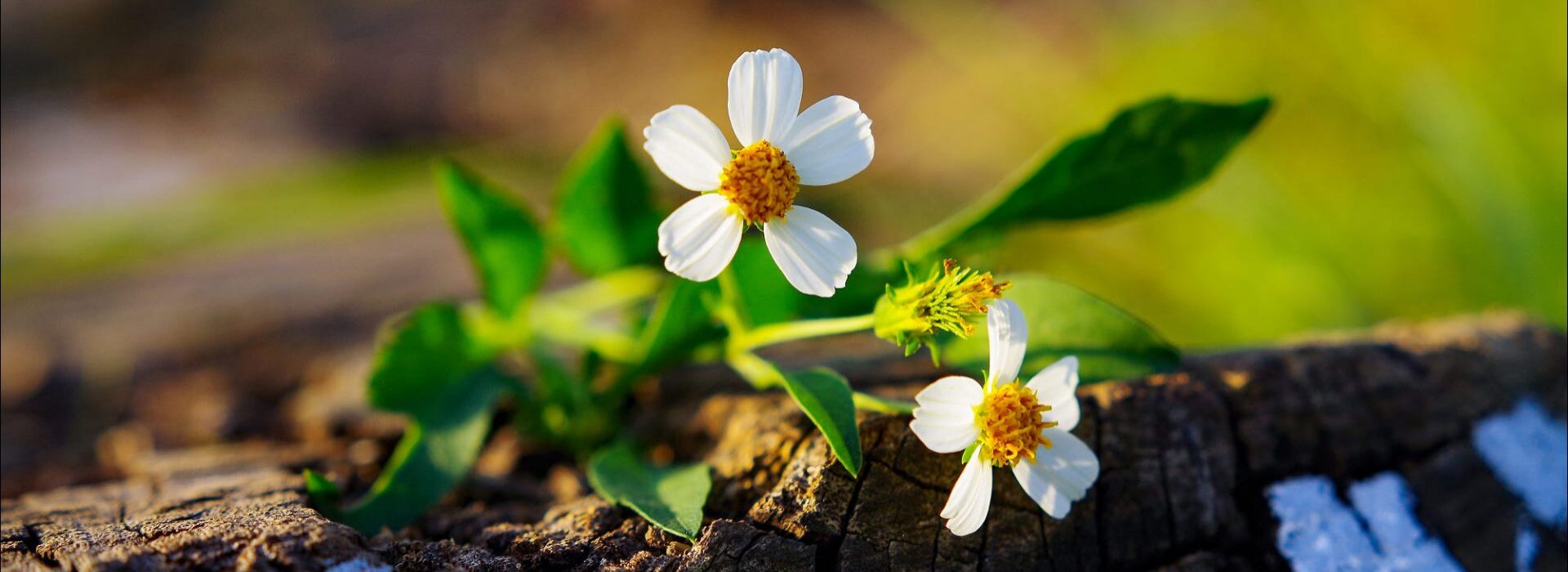 Phòng Khám Đông Y Hải Long